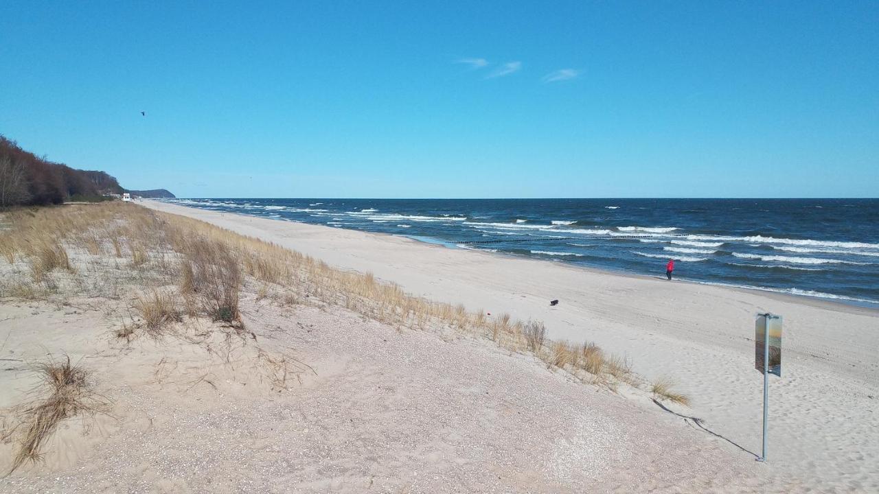 Moderne 3-raum Strandmoewe Mit Panoramafenster *