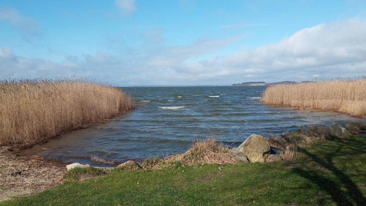 Moderne 3-raum Strandmoewe Mit Panoramafenster
