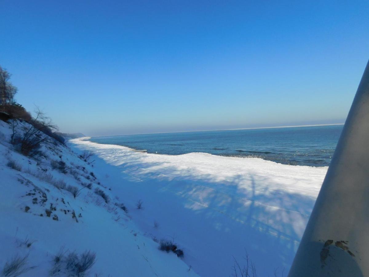 Moderne 3-raum Strandmoewe Mit Panoramafenster *