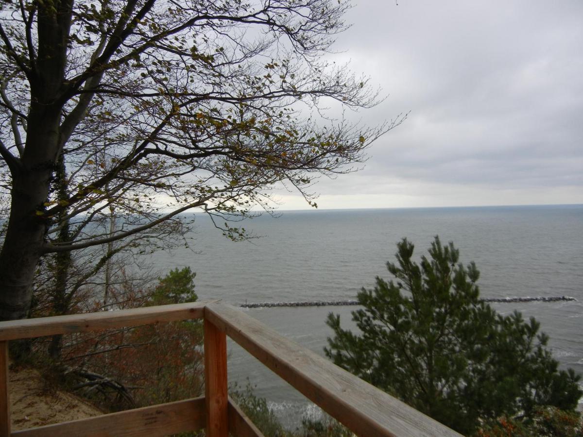 Moderne 3-raum Strandmoewe Mit Panoramafenster