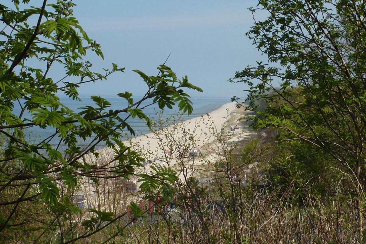 Apartment Moderne 3-raum Strandmoewe Mit Panoramafenster *