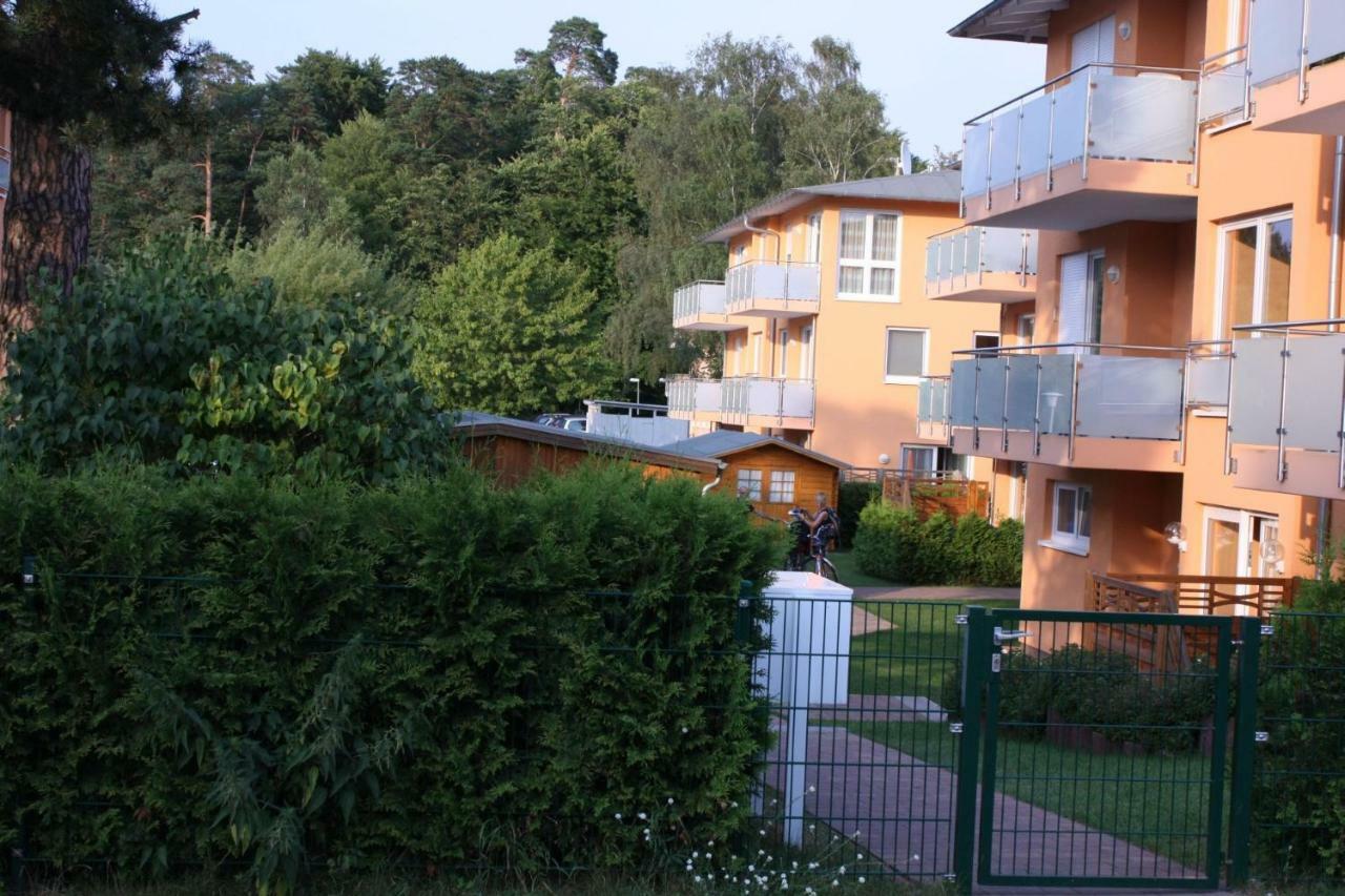 Apartment Moderne 3-raum Strandmoewe Mit Panoramafenster
