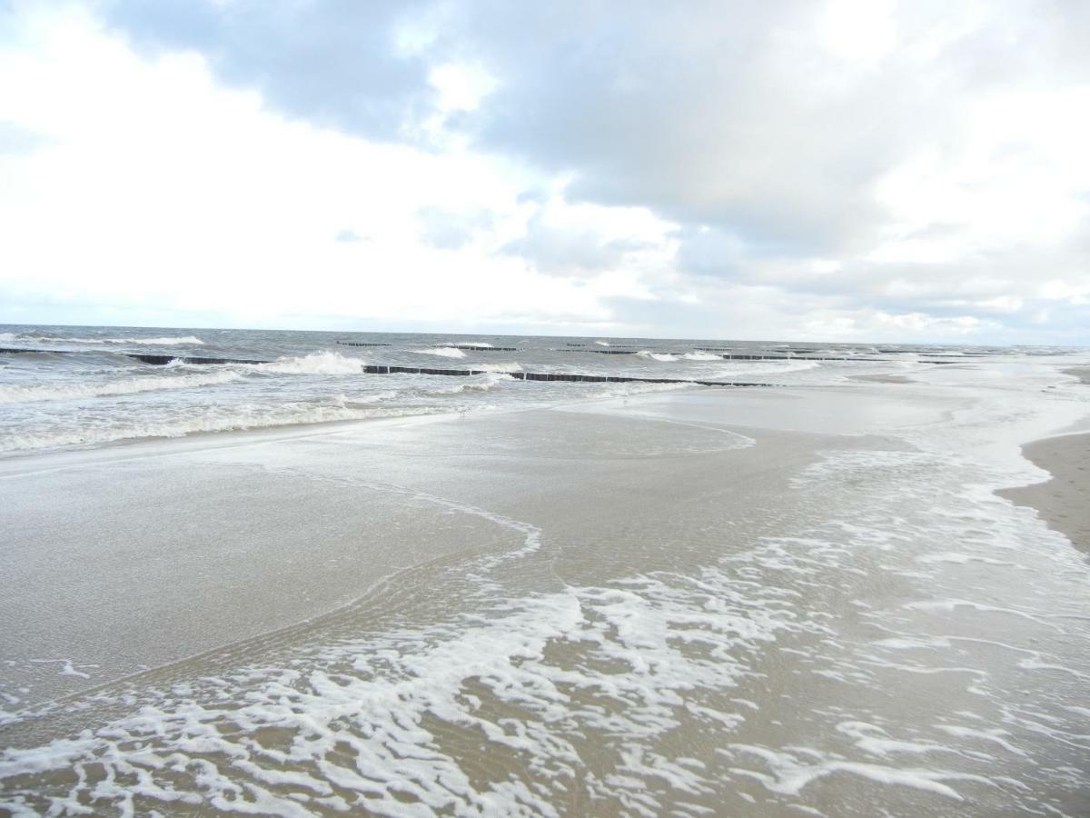 Moderne 3-raum Strandmoewe Mit Panoramafenster *